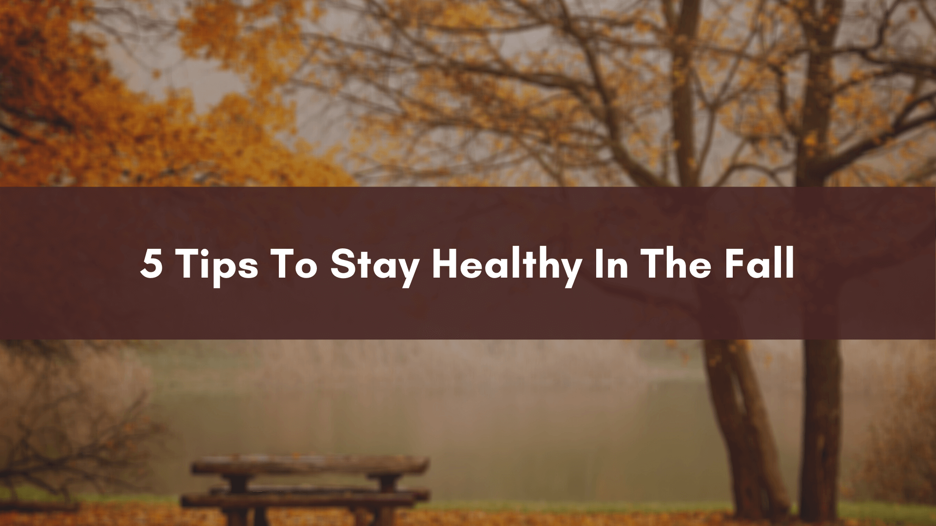 5 Amazing Tips To Stay Healthy In The Fall